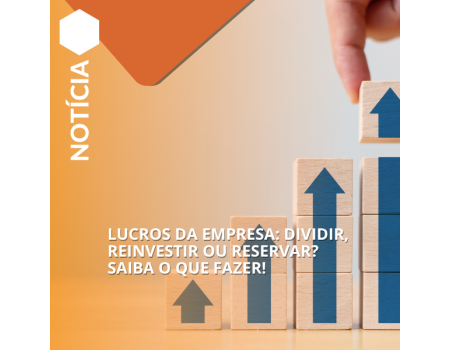 LUCROS DA EMPRESA: DIVIDIR, REINVESTIR OU RESERVAR? SAIBA O QUE FAZER!