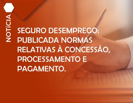 SEGURO DESEMPREGO: PUBLICADA NORMAS RELATIVAS À CONCESSÃO, PROCESSAMENTO E PAGAMENTO.