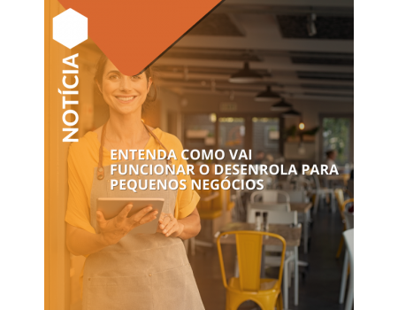 Entenda como vai funcionar o Desenrola para Pequenos Negócios Entenda como vai funcionar o Desenrola para Pequenos Negócios