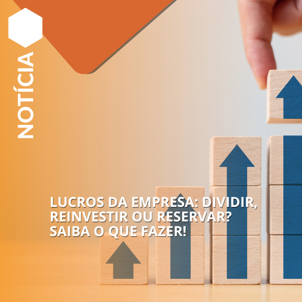 LUCROS DA EMPRESA: DIVIDIR, REINVESTIR OU RESERVAR? SAIBA O QUE FAZER!