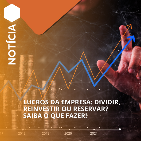 Lucros da Empresa: Dividir, Reinvestir ou Reservar? Saiba o Que Fazer!